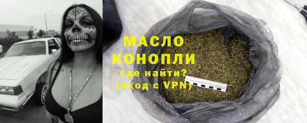 дмт Елабуга