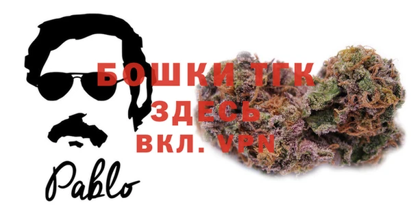 дмт Елабуга