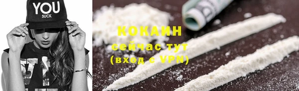 дурь Ельня