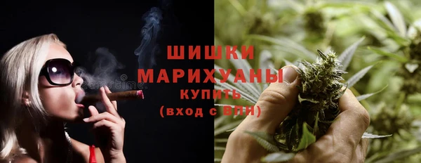 дурь Ельня
