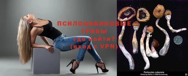 дурь Ельня