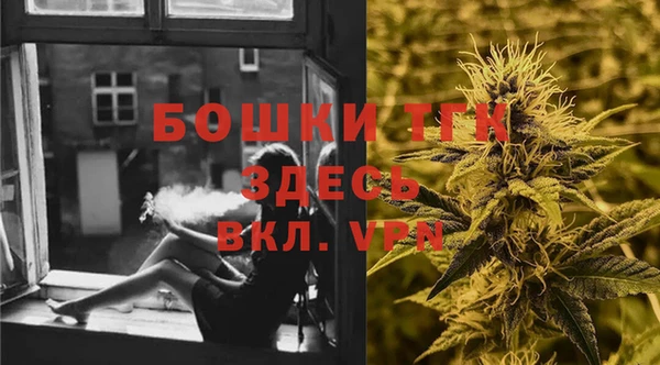 дурь Ельня
