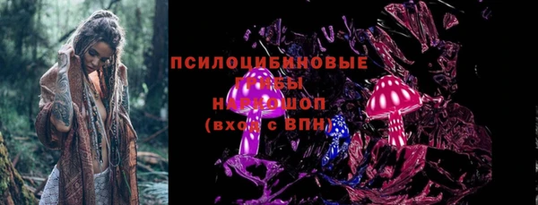 гидропоника Елизово