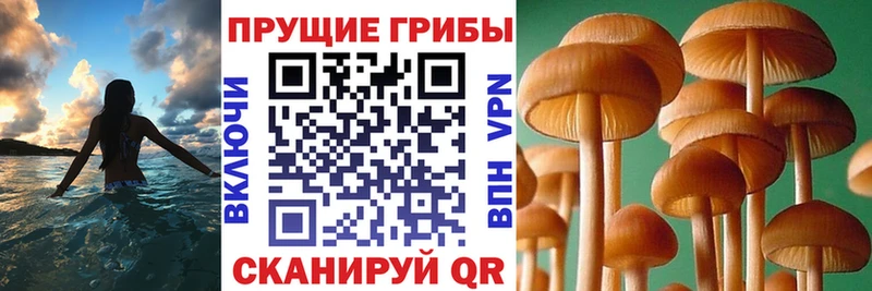 Псилоцибиновые грибы Magic Shrooms hydra рабочий сайт Югорск
