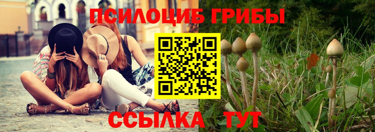 Псилоцибиновые грибы мухоморы Югорск