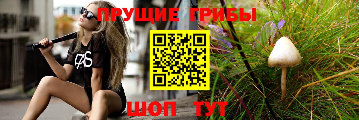 Псилоцибиновые грибы MAGIC MUSHROOMS  Вход с VPN  Югорск 